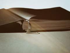 [알베케일] 알베르의 회고록