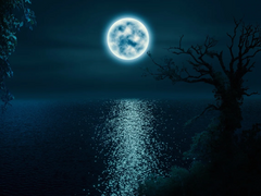 [천지혜/홍실] 압도적인 비인간성이 범인을 얼마나 미치게 만드는가