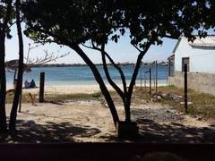 넌 내가 물에 뛰어들고 싶게 만들어.