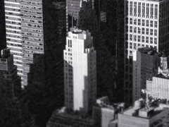 [비공개/손가을/32세/여성]