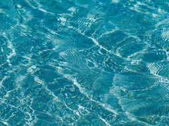 우리끼리 사귈래?