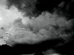 [공개/윤백화/26살/XX]