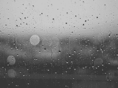 어떻게 내가 너를 사랑하지 않을 수 있겠어.