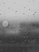 시라야나기 키요무