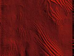 [국뷔] 각다귀 9