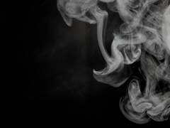 More flow’rs I noted, yet I none could see