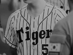 [정진] 미완의 교정 H