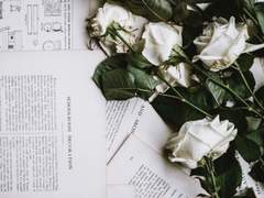 보낸 이 없는 편지