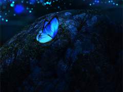 [LoH/로드프람로드] 그럴 가치가 있는 세상