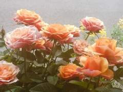 그런다니, 너무 과분한 선물을 받는 거 같지만.