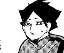 하이큐 드림-우담바라