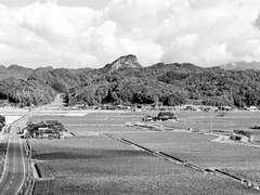 난 이런 건 잘 못하겠어.