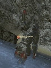 북미 개똥벌레일기