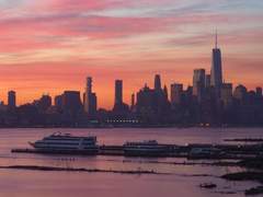 이해는 필요 없어