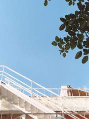 문스트럭(Moonstruck)