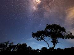 안녕하세요. 무화과깜빠뉴(@_muggam)입니다.