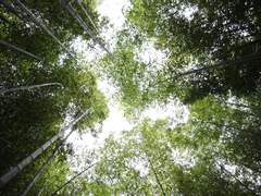 [영신마고] 맹목(盲目)의 너머