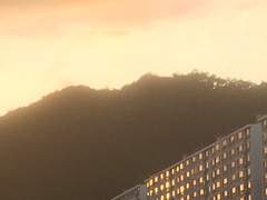 나의 어린 아이와 신포도