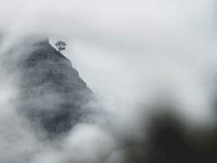 [희신강징] 煙客 (上)