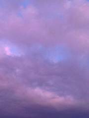 뷔국 / 소나기처럼