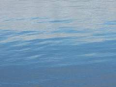 너에게 쓰는 편지