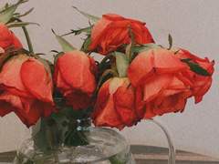 두 번의 황혼 _ 01