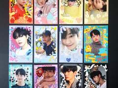 세진 폴꾸 판매