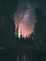 세계관과 설정 모음