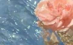 란타나의 꽃말, 나는 변하지 않는다.