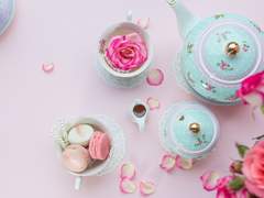 :: Cream p. Plattino. ⁷