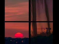 미야 아츠무 : 개와 늑대의 시간