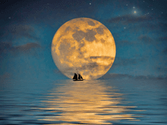 구원 sᴀʟᴠᴀᴛɪᴏɴ #01