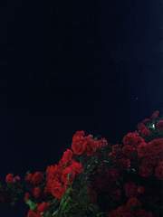 [버찌/솔훈]The Rainy Season