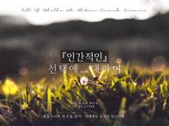 『인간적인』선택에 대하여 플레이 로그 백업