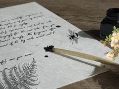 지젤과 갈라테아의 탱고 11