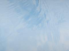 요한 테일드 사용설명서.