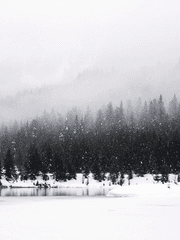 시파이 / 이름 잃은 순례자들