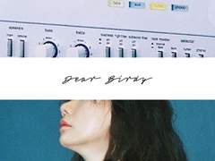 [시목여진시목] Dear. Birdy 中