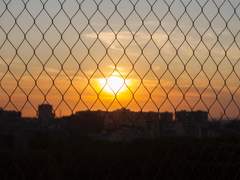 [타이야마] 일출 무렵 (上)