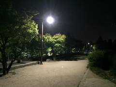 [달국X여난] 공원에서.