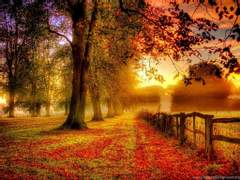 타인의 향으로 얼룩진 침실