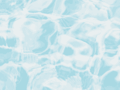 나기사 캐해석 타로