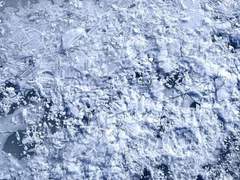 Satellite; Regression and Advance ( 4 )