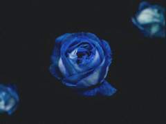 [망기무선] 어느 밤의 어떤 생각