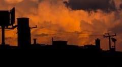 #쇼가_손을_잡는_방식은