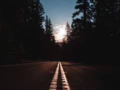 [토니피터] Turn and Turn 1