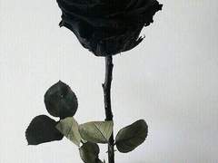 I am hare. where are you?