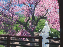 설녹 - 만년설산의 하얀 사슴