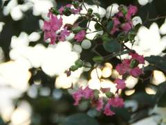 당신과 나의 계절