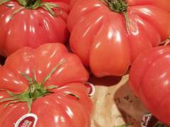 여행기록 (2019년 2월)